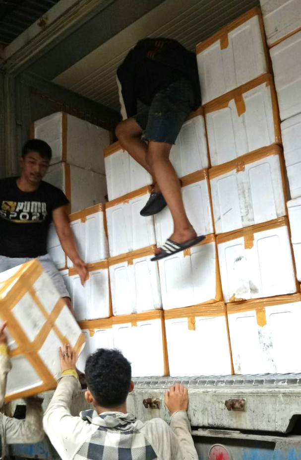 boangar barang di pelabuhan